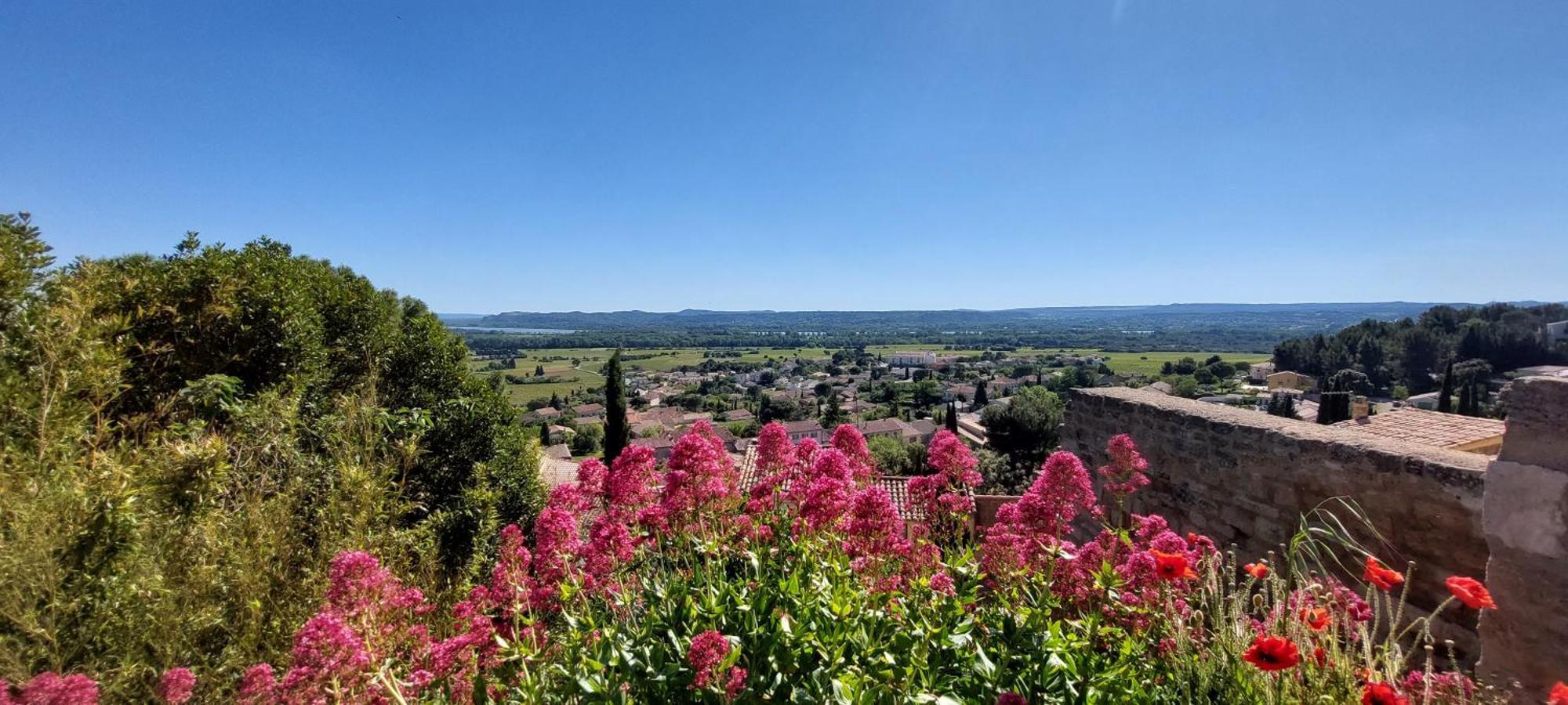איל-סור-לה-סורג Gite De L'Olivier, Classe, Climatise, Jardin Avec Parking Gratuit Devant Le Logement Et A 5 Minutes Du Centre-Ville A Pied מראה חיצוני תמונה